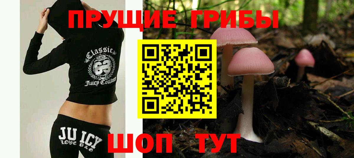 Псилоцибиновые грибы Psilocybine cubensis  Галлюциногенные грибы прущие грибы  Вход с VPN  Малгобек 